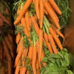carottes (2)